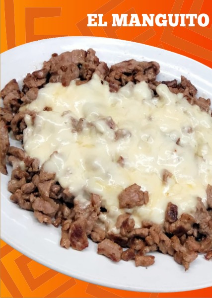 platilloN